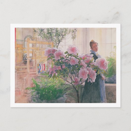 Azalea, 1906 (w/c auf Papier) Postkarte (Vorderseite)
