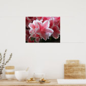 Azalea #3 poster (Küche)