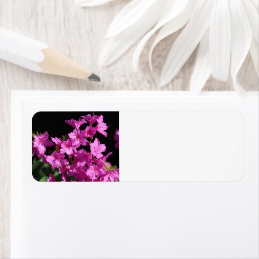 Azalea-Adressetikett (Insitu)