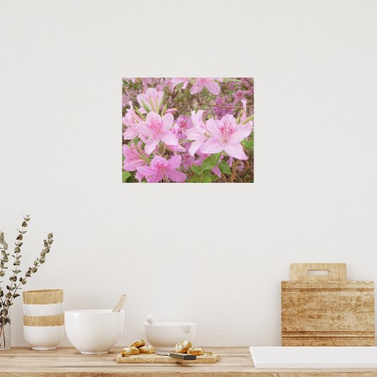 Azalea Bloom Close-Up Photography Poster (Küche)