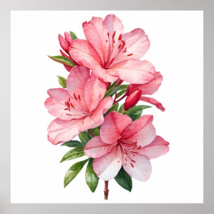 Azalea Blume Aquarellmalerei Poster