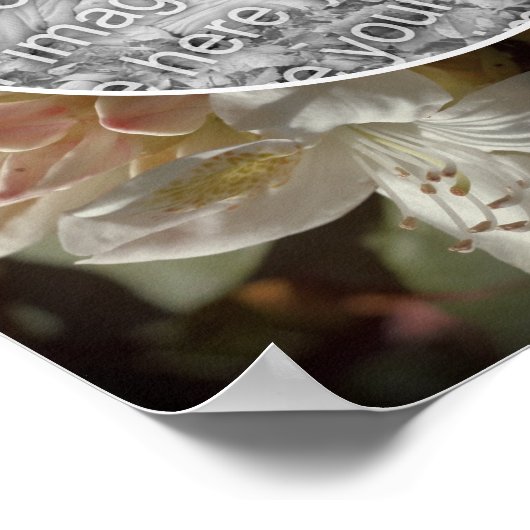 Azalea Blume Blüten Tint Erstellen Sie Ihr eigenes Poster (Ecke)