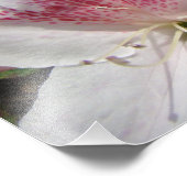 Azalea Blume Gartenfotografie Florals Fotodruck (Ecke)