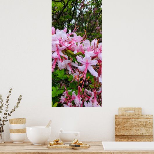 Azalea-Blume Poster (Küche)