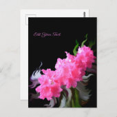 Azalea Blume Postkarte (Vorne/Hinten)