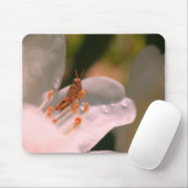 Azalea Blume und Grasshopper Mousepad (Mit Mouse)