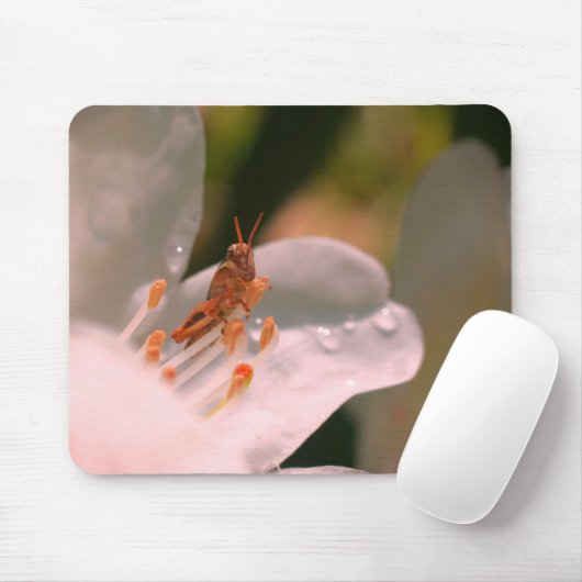 Azalea Blume und Grasshopper Mousepad (Mit Mouse)