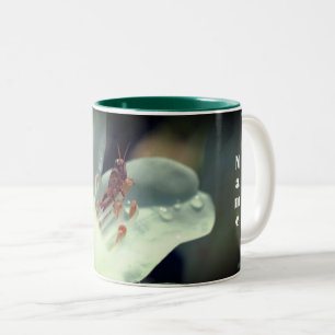 Azalea Blume und Grasshopper Personalisiert Zweifarbige Tasse