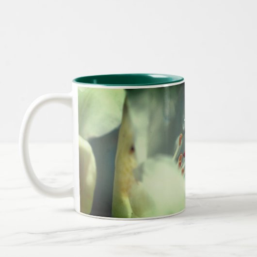 Azalea Blume und Grasshopper Personalisiert Zweifarbige Tasse (Links)