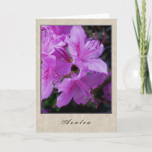 Azalea - Blumenserie Karte