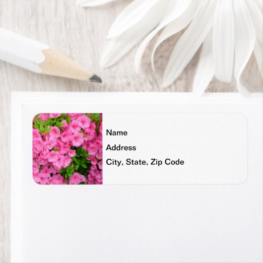 Azalea Bush (Insitu)