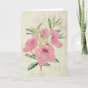 Azalea des Vintagen botanischen Könighorns Karte