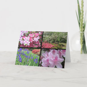 Azalea dogwood-Iris-Sammelkarte Karte