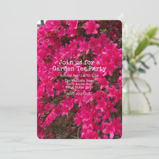 Azalea  einladung (Stehend Vorderseite)