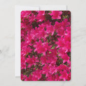 Azalea  einladung (Rückseite)