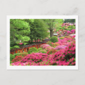 Azalea Festival: Nezu Shrine, Japan Postcard Postkarte (Vorderseite)