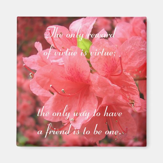 Azalea Field: Freundschaft - Magnet #1 (Vorne)