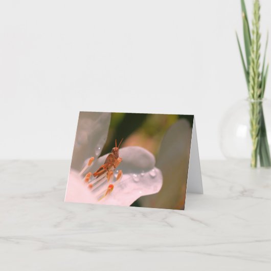Azalea Flower And Grasshopper Personalized Note Karte (Vorderseite)