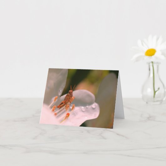 Azalea Flower And Grasshopper Personalized Note Karte (Kleines Gewächs)