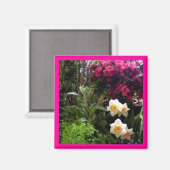 Azalea Garden Magnet (Vorderseite/Rückseite)