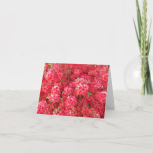 Azalea Grußkarte Karte