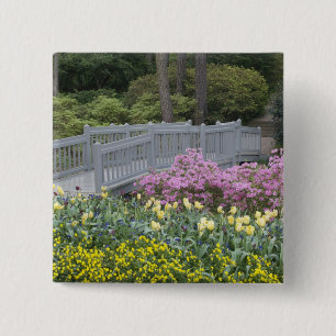 Azalea Heath Family (Ericaceae), Tulip und Button