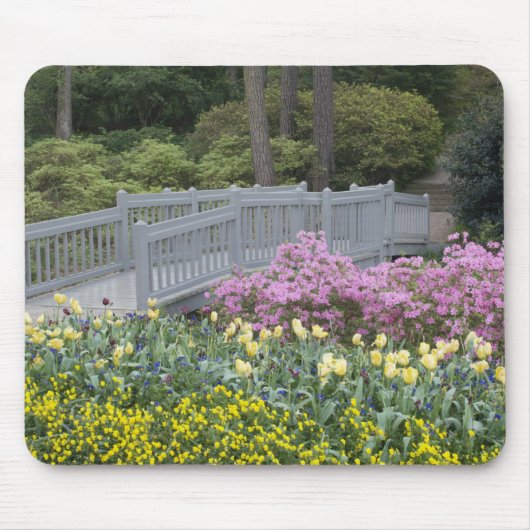 Azalea Heath Family (Ericaceae), Tulip und Mousepad (Vorne)
