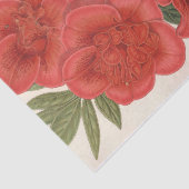 Azalea (Indica) Francois Devos von Charles Lemaire Seidenpapier (Ausschnitt)