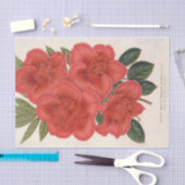 Azalea (Indica) Francois Devos von Charles Lemaire Seidenpapier (Handwerk)