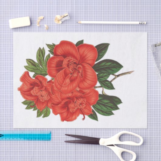 Azalea (indica) Großherzogtum, Decoupage Seidenpapier (Handwerk)