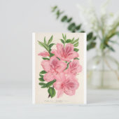 Azalea Indica (Hybrida) Gigantiflora von Lemaire Postkarte (Stehend Vorderseite)