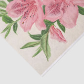 Azalea Indica (Hybrida) Gigantiflora von Lemaire Seidenpapier (Ausschnitt)