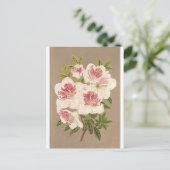 Azalea (indica) Reine des Pays-Bas von Lemaire Postkarte (Stehend Vorderseite)