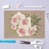 Azalea (indica) Reine des Pays-Bas von Lemaire Seidenpapier (Handwerk)