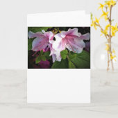 Azalea, Karte (Gelbe Blume)