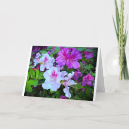 Azalea, Karte
