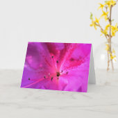 Azalea, Karte (Gelbe Blume)