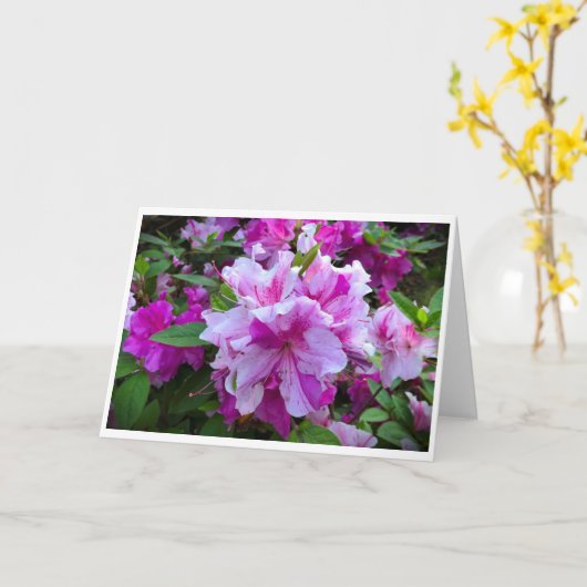 Azalea, Karte (Gelbe Blume)