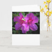 Azalea, Karte (Gelbe Blume)