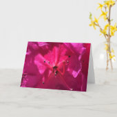 Azalea, Karte (Gelbe Blume)