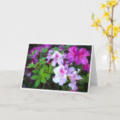 Azalea, Karte (Gelbe Blume)