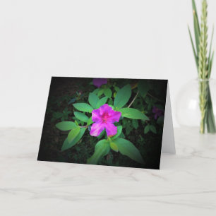 Azalea, Karte