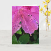 Azalea, Karte (Gelbe Blume)