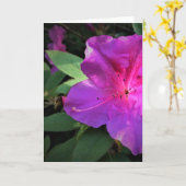 Azalea, Karte (Gelbe Blume)