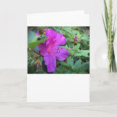 Azalea, Karte (Vorderseite)