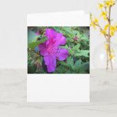 Azalea, Karte (Gelbe Blume)