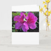 Azalea, Karte (Gelbe Blume)