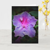 Azalea, Karte (Gelbe Blume)