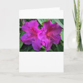 Azalea, Karte (Vorderseite)