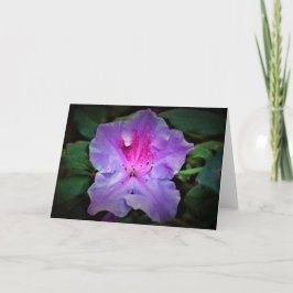 Azalea, Karte